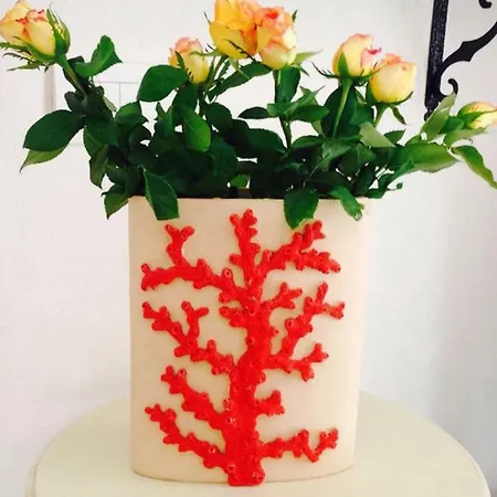 Mare Old Town Center 招待所 巴里